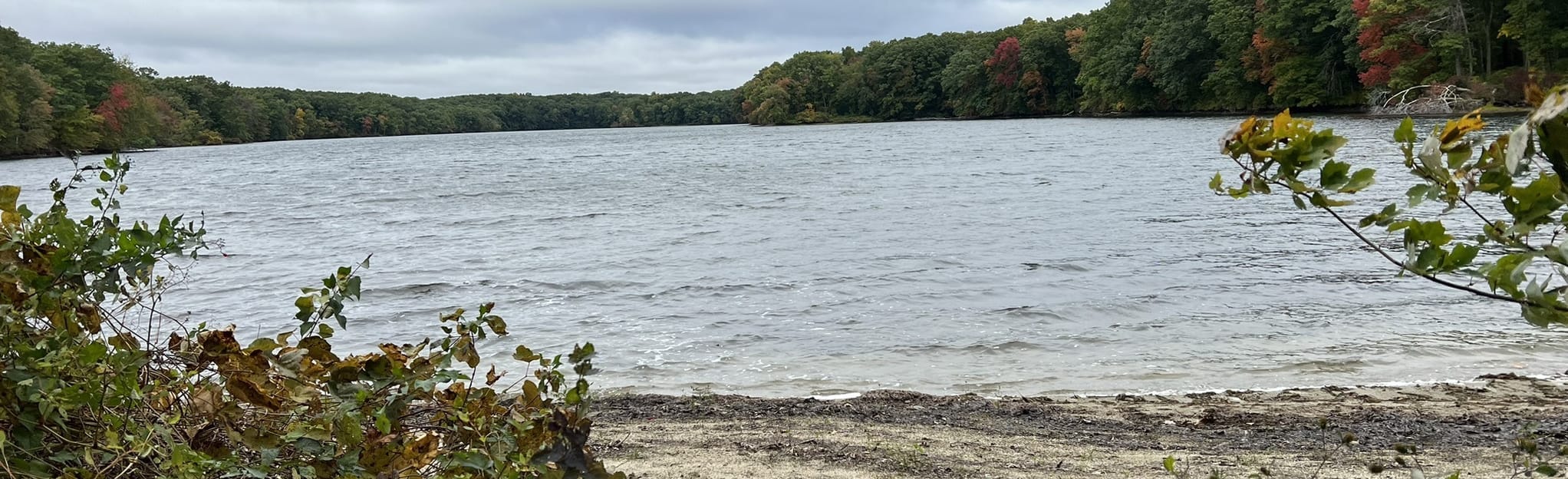 Quinebaug Lake Loop Map, Guide Connecticut AllTrails