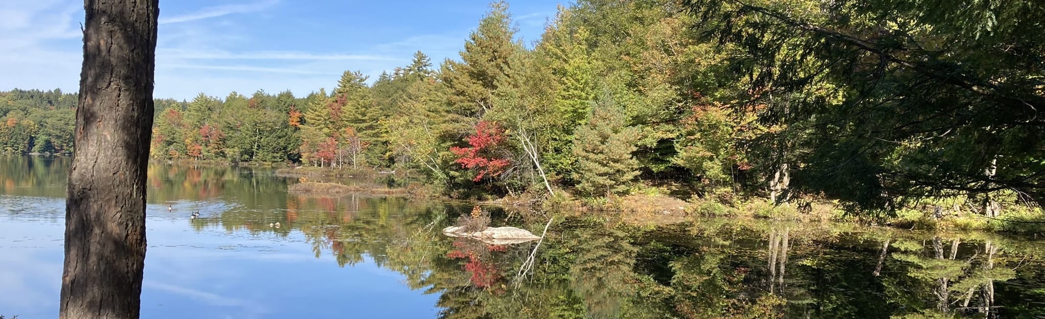 Lake Bonita, Lake Ann, High Rock, and Eastern Ridge Trail, New York
