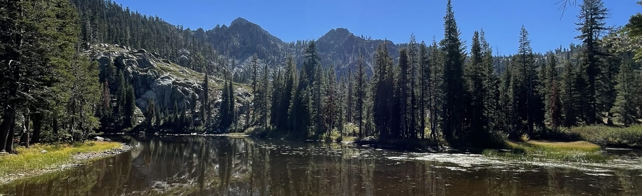 Tamarack Lake Trail California AllTrails