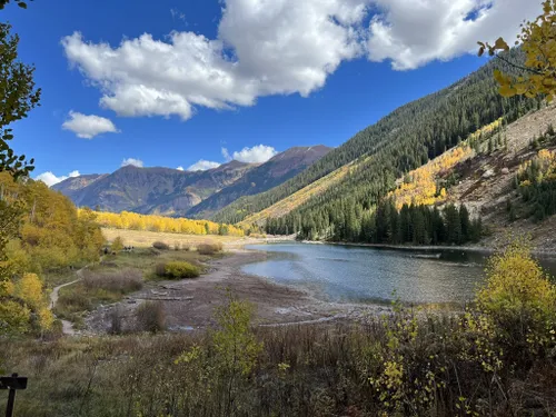 10 Best Wildlife Trails in Aspen