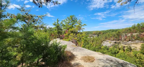 2023 Best Easy Trails In Red River Gorge Geological Area Alltrails