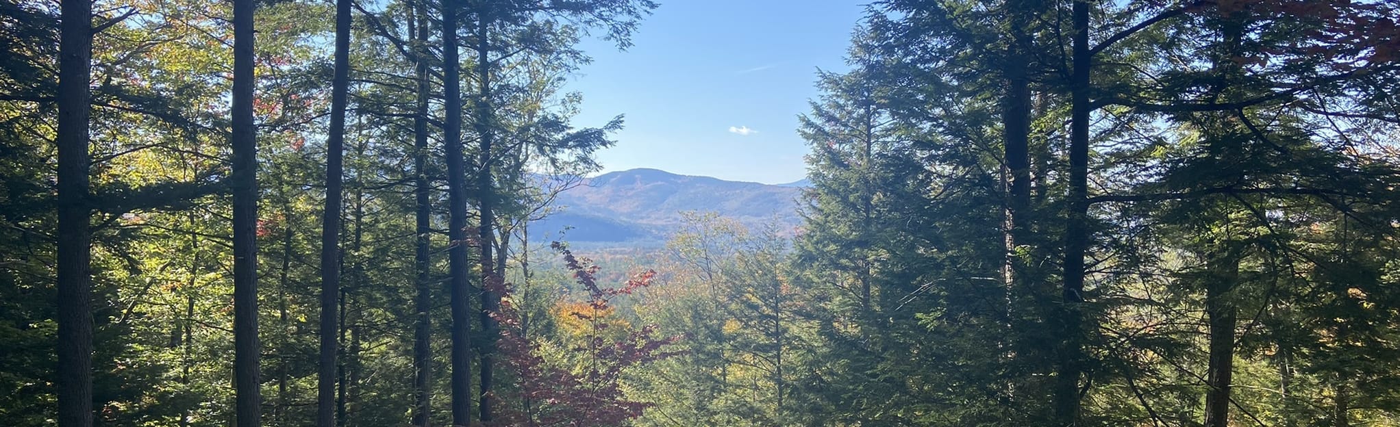 Kettle Ridge Trail 53 Reviews, Map New Hampshire AllTrails