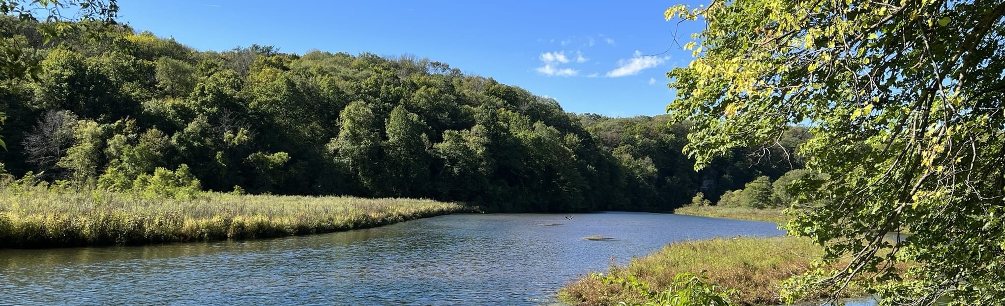 Backbone State Park Trail Loop 205 Reviews, Map Iowa AllTrails
