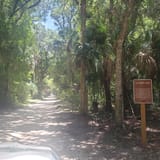 Bulow Woods Hiking Trail, Florida - 227 Reviews, Map | AllTrails