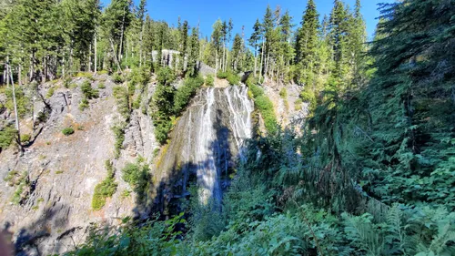 Paradise Falls, Skamania County, Washington - Northwest Waterfall Survey