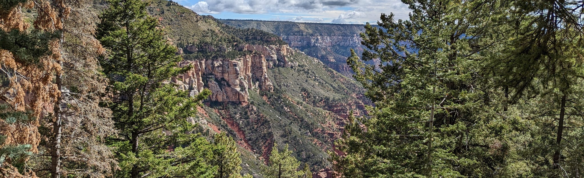 North Kaibab Trail to Roaring Springs - EyJidWNrZXQiOiJhc3NldHMuYWxsdHJhaWxzLmNvbSIsImtleSI6InVwbG9hZHMvcGhvdG8vaW1hZ2UvNTI4NDAzNzMvZWE2MDcxMGRkNzQ1MmJkMmU1MzFjOTU0MTlhYmMyNmMuanBnIiwiZWRpdHMiOnsidG9Gb3JtYXQiOiJqcGVnIiwicmVzaXplIjp7IndpZHRoIjoyMDQ0LCJoZWlnaHQiOjYyNCwiZml0IjoiY292ZXIifSwicm90YXRlIjpudWxsLCJqcGVnIjp7InRyZWxsaXNRdWFudGlzYXRpb24iOnRydWUsIm92ZXJzaG9vdERlcmluZ2luZyI6dHJ1ZSwib3B0aW1pc2VTY2FucyI6dHJ1ZSwicXVhbnRpc2F0aW9uVGFibGUiOjN9fX0=