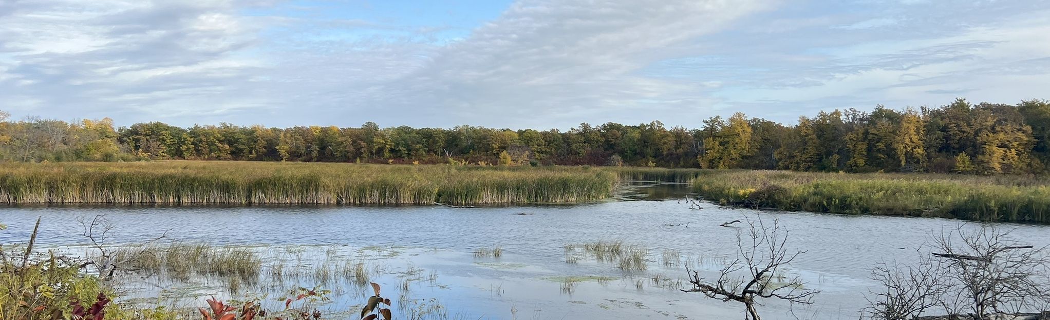 Lake Bronson Hiking Club Loop | Map, Guide - Minnesota | AllTrails