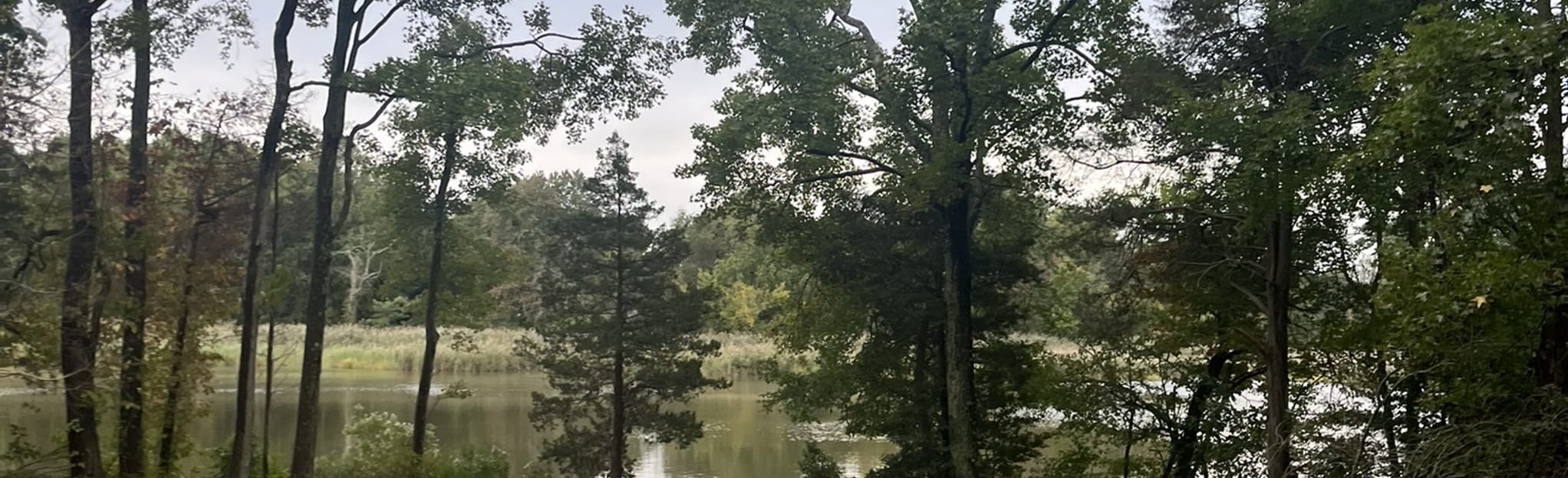 Blackbird Creek Red Mile Trail, Delaware 9 Reviews, Map AllTrails