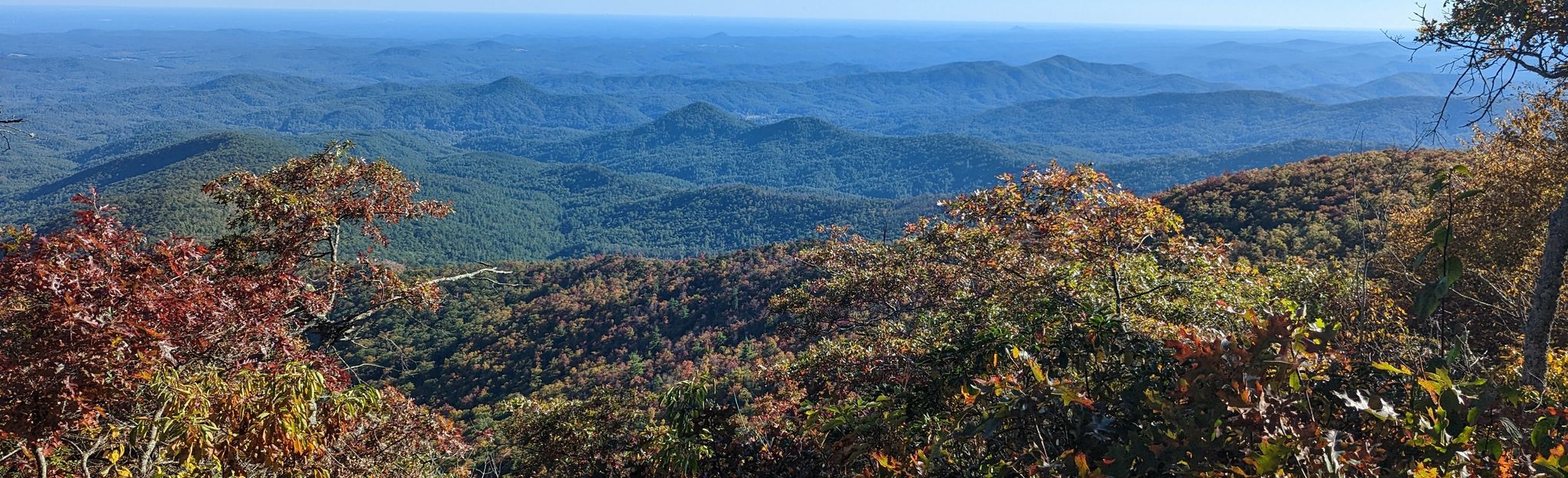 Half Ridge, Bartram, Rabun Bald, And Holcomb Creek Loop: 74 Reviews 