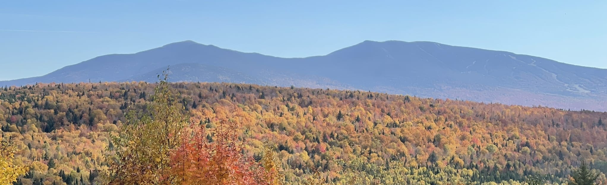 Quill Hill, Maine 20 Reviews, Map AllTrails