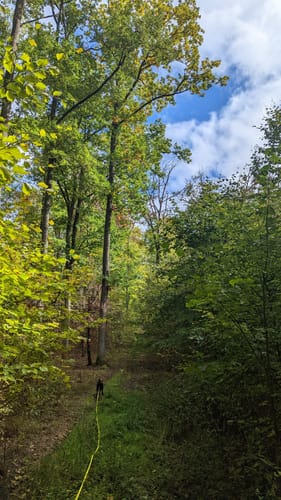 Aus Altershausen um den Rossberg