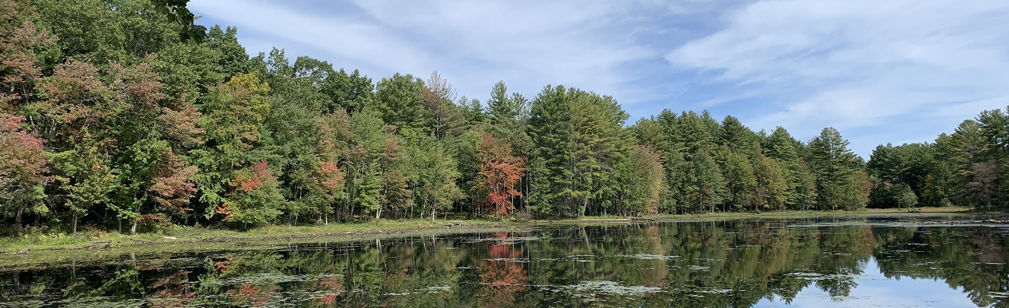 Foster's Pond and Dave Dunn Trail Loop 291 Reviews, Map New