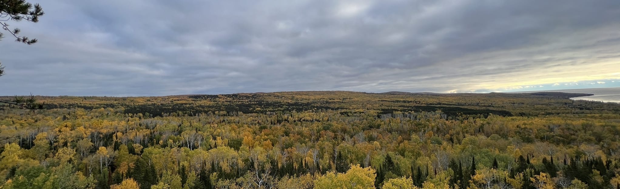 Pincushion Mountain Loop, Minnesota 162 Reviews, Map AllTrails