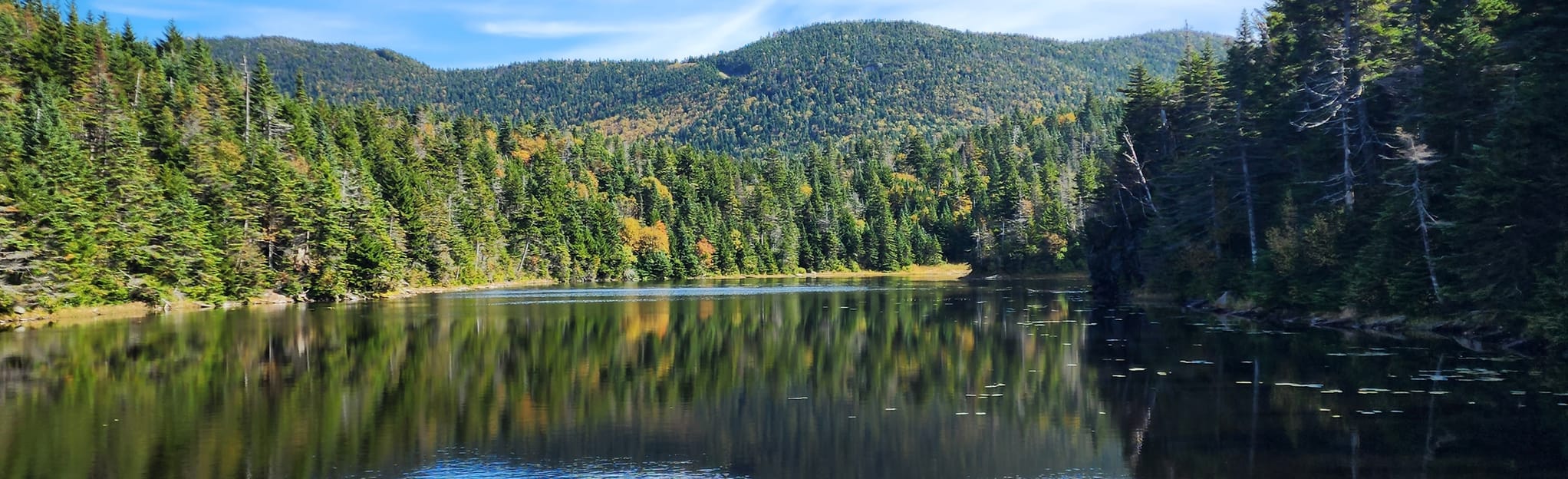 Spruce Peak via Sterling Pond Trail, Vermont 800 Reviews, Map AllTrails