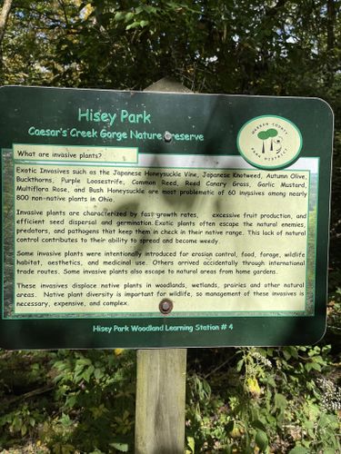 Best Hikes and Trails in Hisey Park | AllTrails