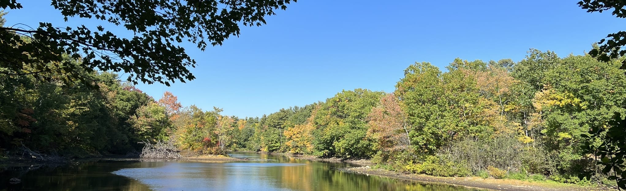 Mill Brook Preserve South Trail, Maine 168 Reviews, Map AllTrails
