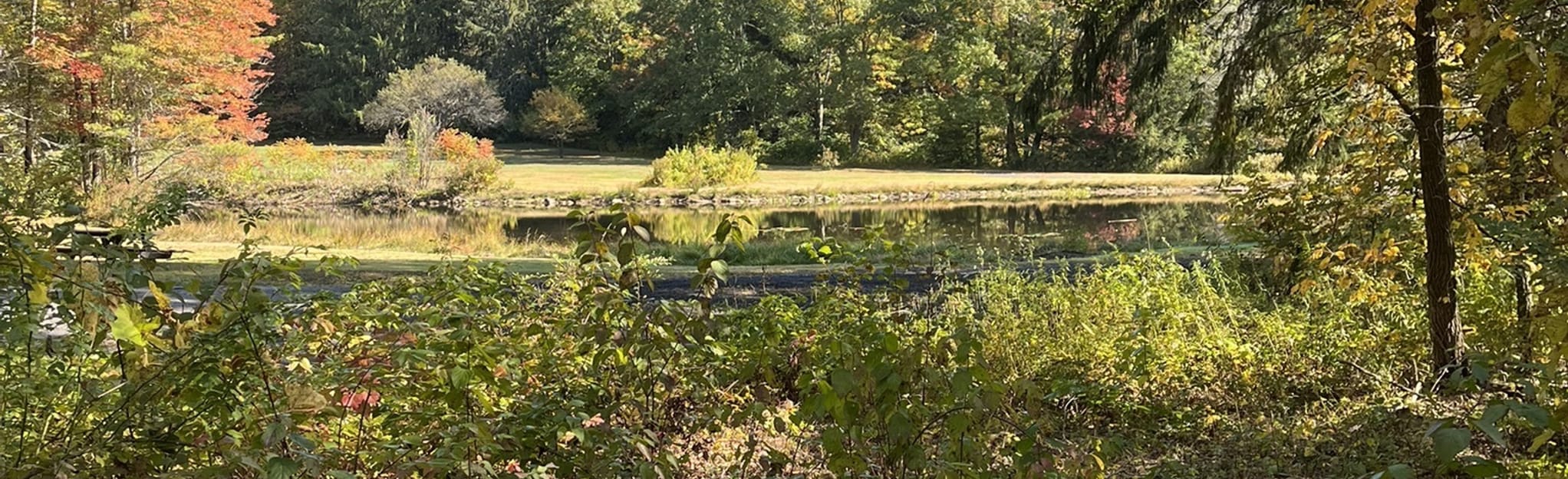 John A. State Park Route 16 foto Connecticut AllTrails