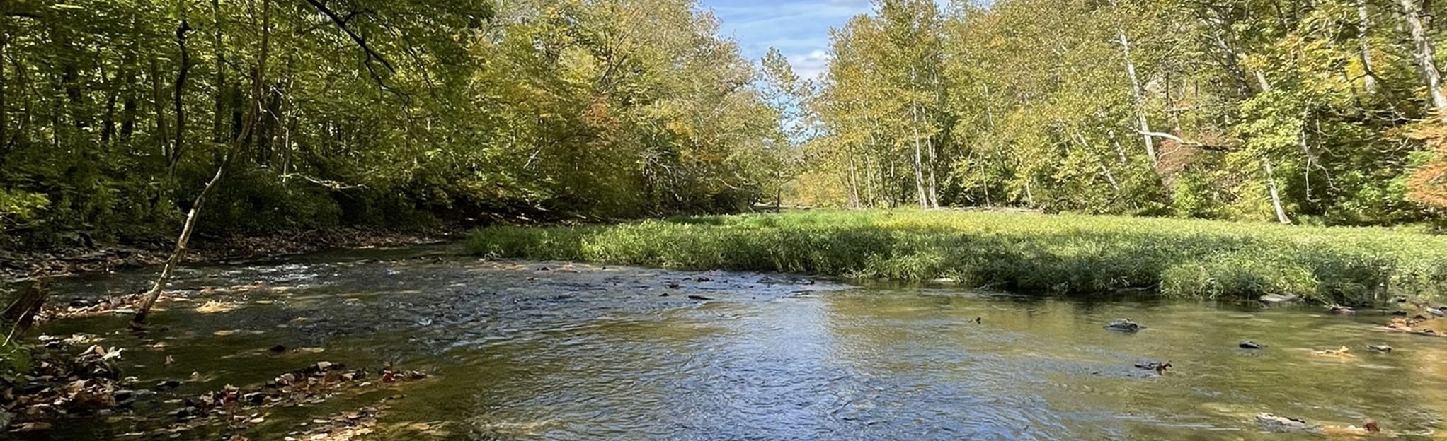 Caesars Creek Loop, Ohio 380 Reviews, Map AllTrails