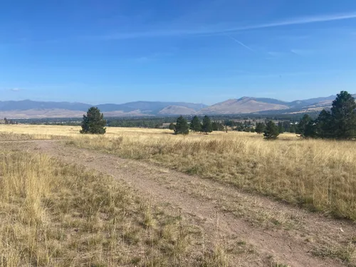 10 Best Trails And Hikes In Missoula | AllTrails