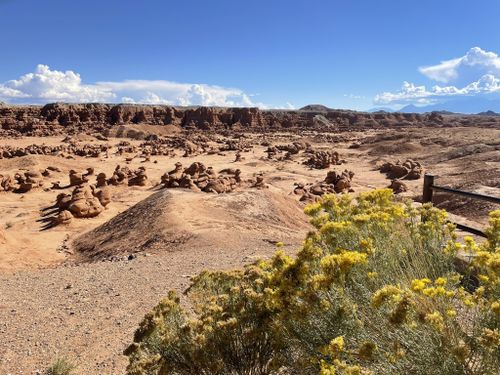 are dogs allowed in goblin valley