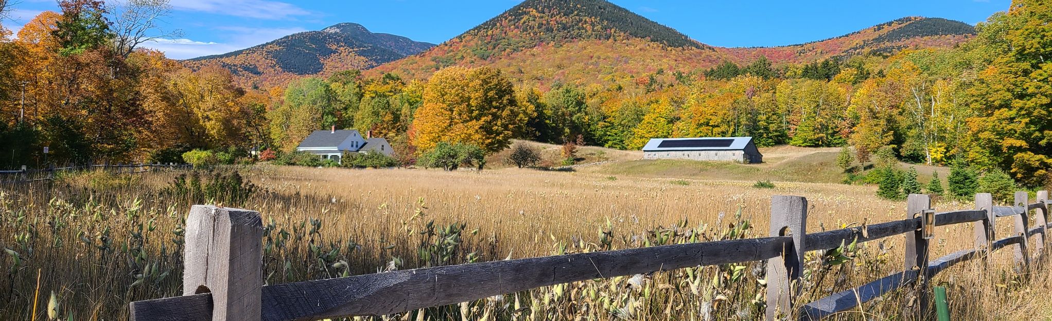 Mount Paugus and Square Ledge Loop: 7 Reviews, Map - New Hampshire ...