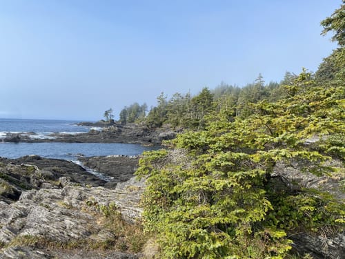 2023 Best 10 Trails and Hikes in Port Renfrew | AllTrails