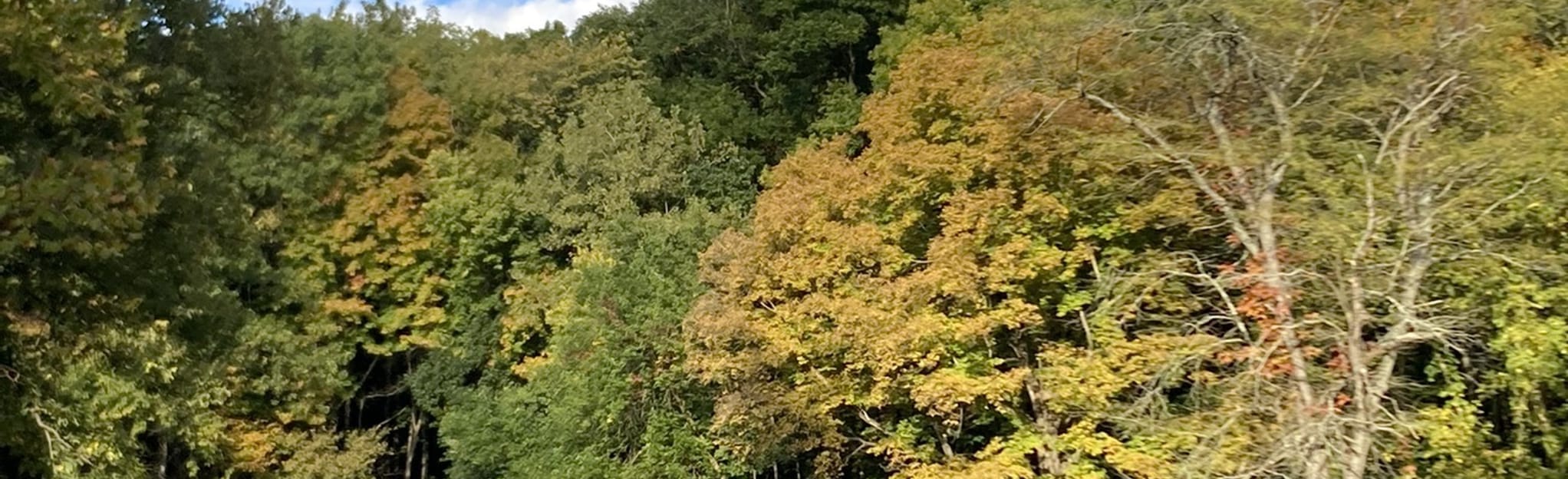 Woodland Trail, Illinois 22 Reviews, Map AllTrails