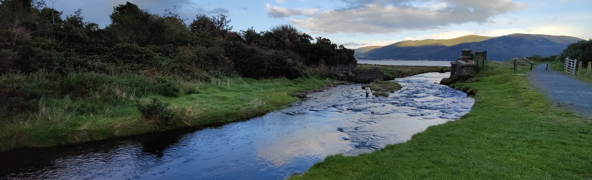 Ravensdale Forest Carlingford via Omeath, County Louth, Ireland 3