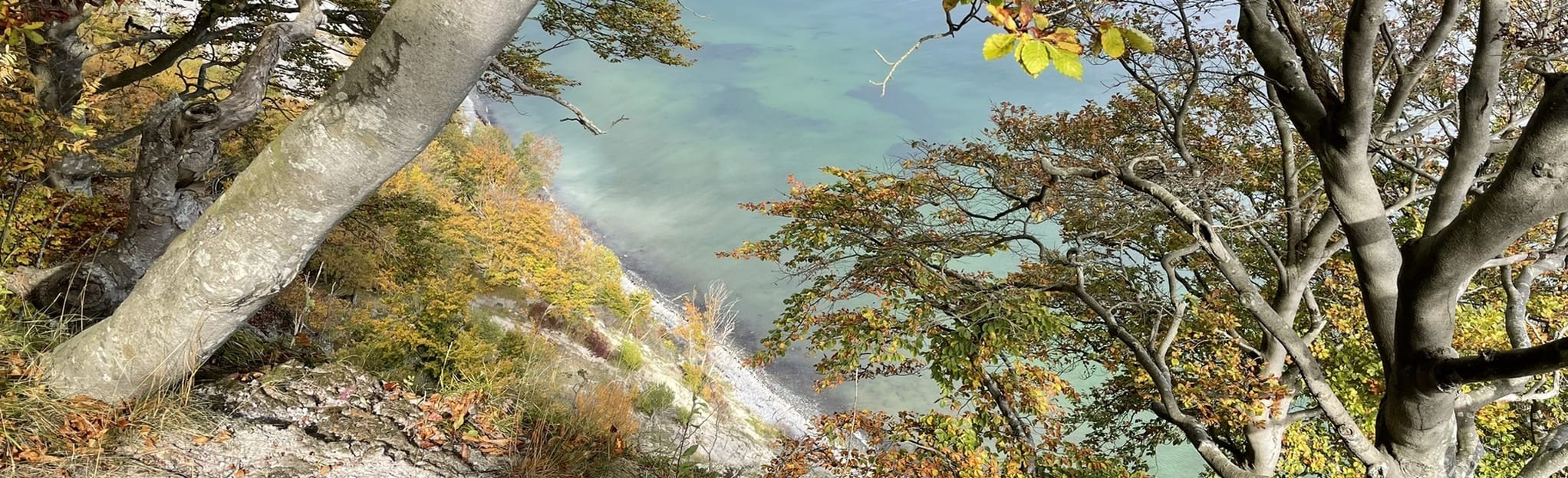 Røde Udfald-Ruten: 22 Reviews, Map - Zealand, Denmark | AllTrails