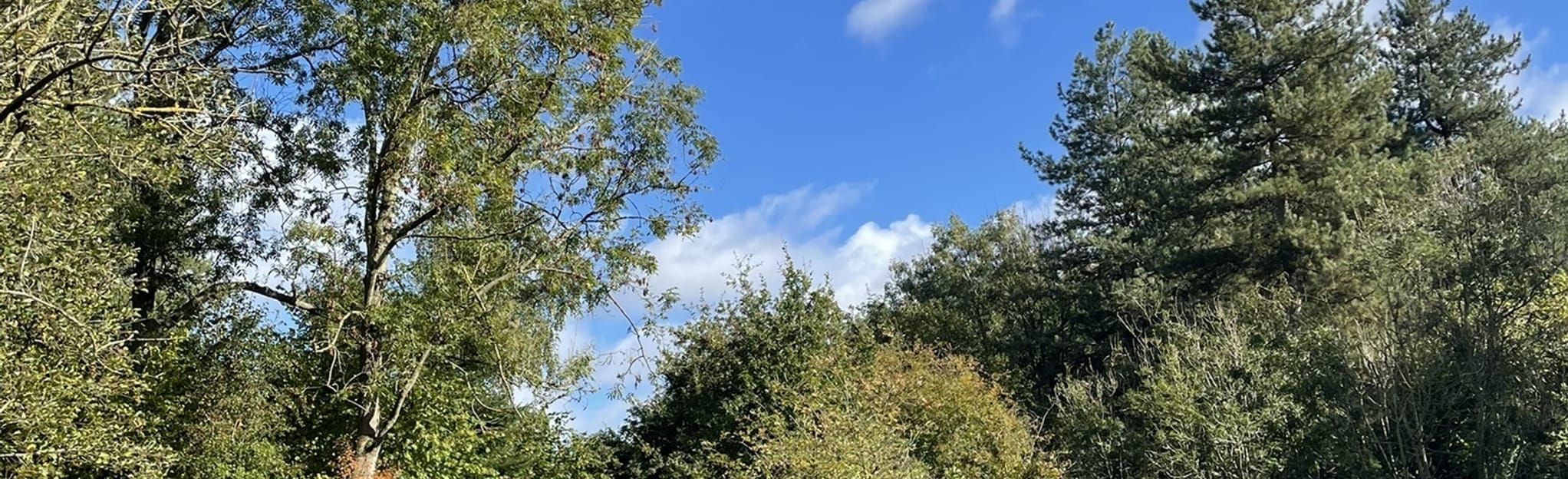Snipe Dales Round, Lincolnshire, England - 47 Reviews, Map | AllTrails