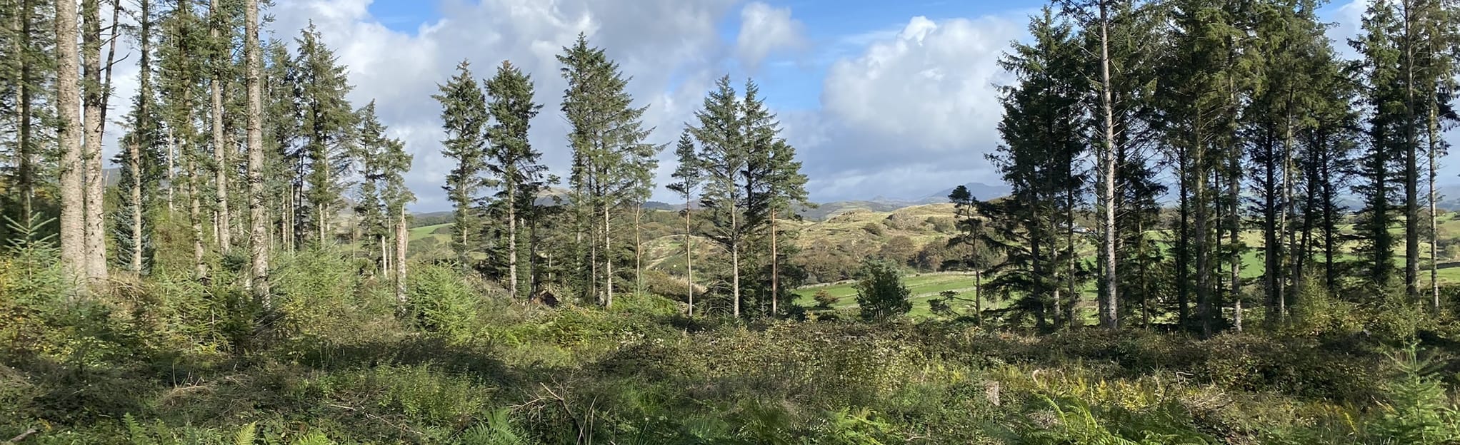 Millom Park Circular, Cumbria, England - 40 Reviews, Map | AllTrails