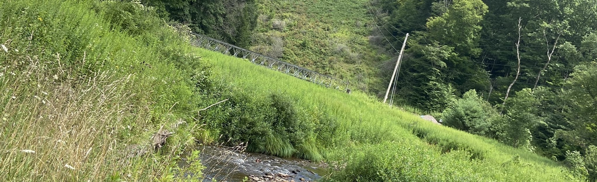 Savage River Outer Loop and Red Oak Trail 265 Fotos Maryland AllTrails