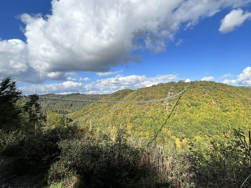 Geierlayschleife (Premiumwanderweg)