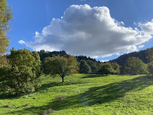 Lautenbacher Felsenweg