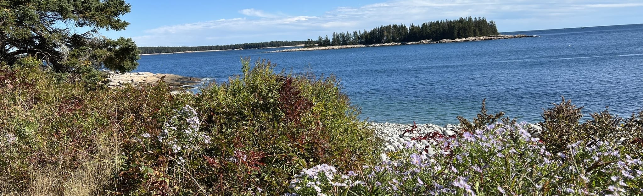 Birch Harbor, the Anvil, and Buck Cove Scenic Drive, Maine 118