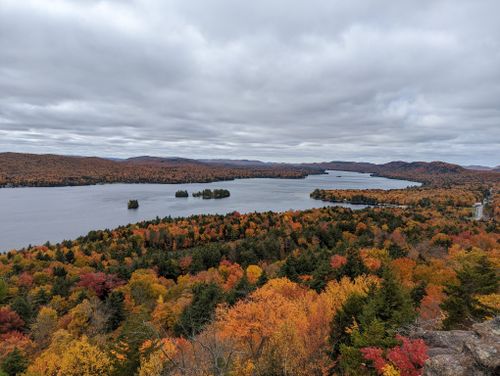 2023 Best Bird Watching Trails in Moose River Plains Wild Forest ...