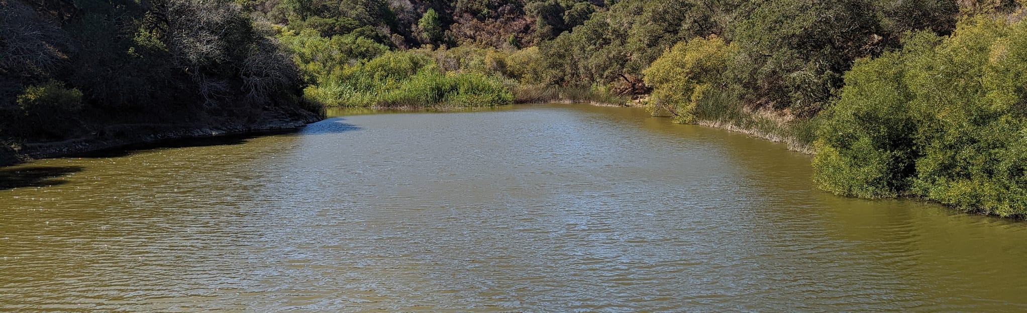 Lake Road, Lake Loop, and John Brooks Trail, California 375 Reviews, Map AllTrails