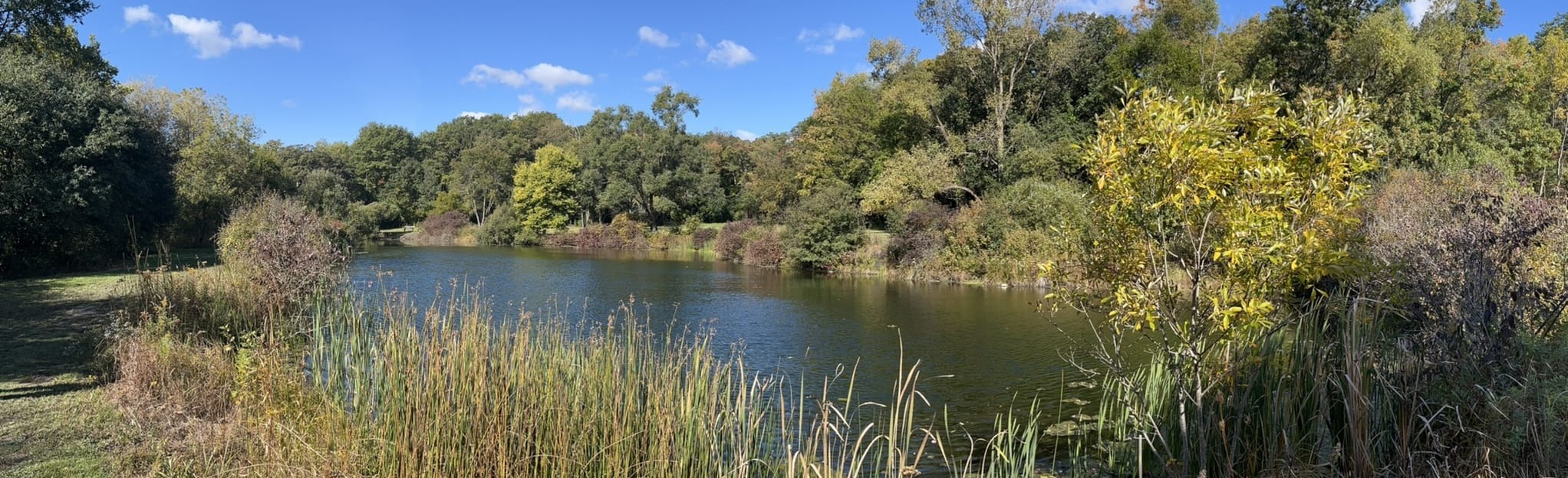 Price Park Trail Loop 104 Reviews, Map Wisconsin AllTrails