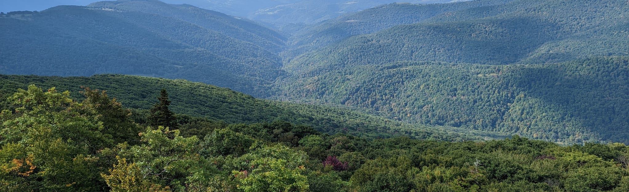 Roaring Plains Loop Map, Guide West Virginia AllTrails
