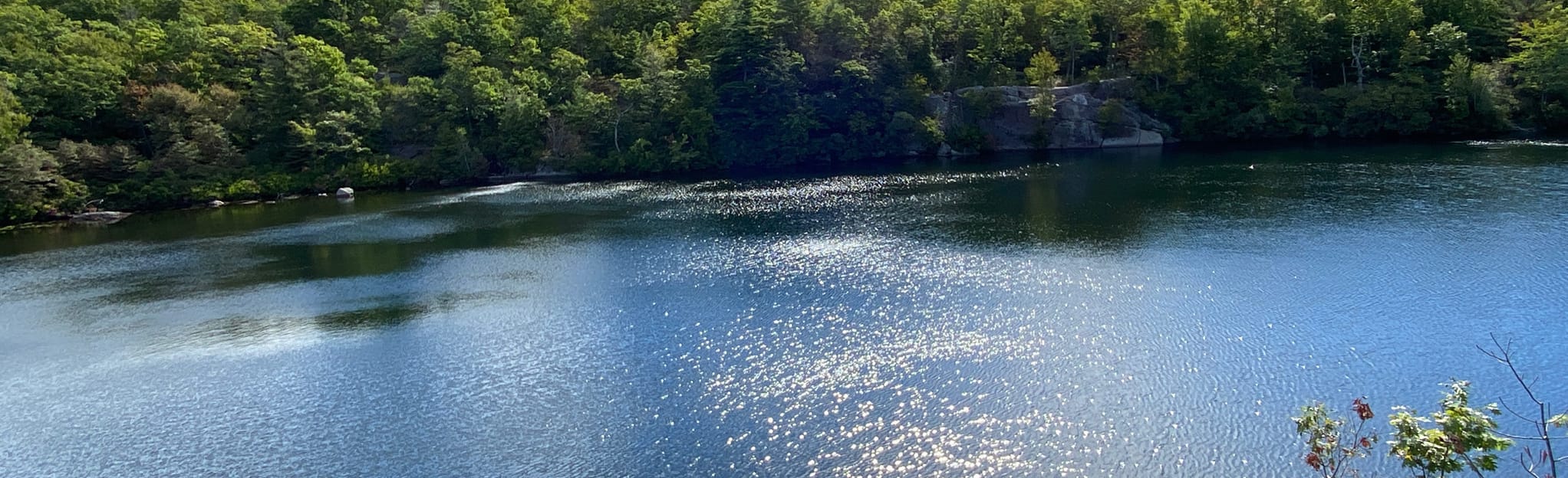 Terrace Pond West Loop 450 Reviews, Map New Jersey AllTrails