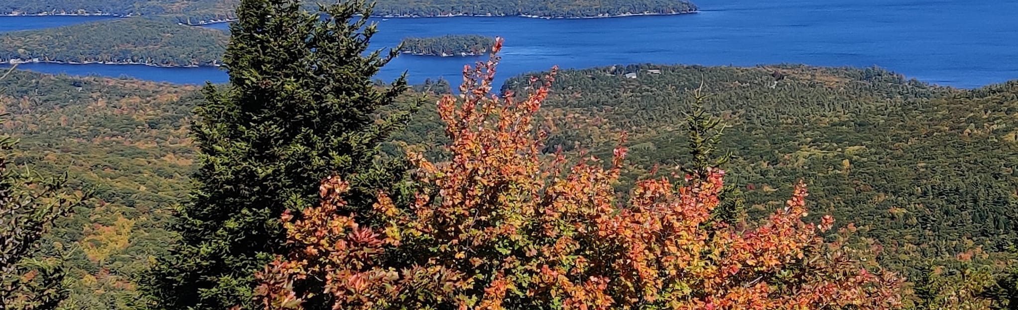 Straightback and Mount Major Loop 470 Reviews, Map New Hampshire