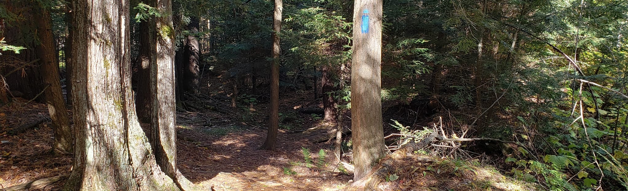 L'Anse Township Park Loop, Michigan 5 Reviews, Map AllTrails