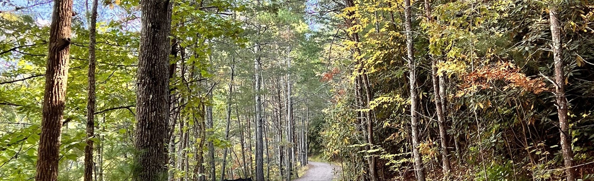 Valdese Lakeside Outer Loop 194 Reviews, Map North Carolina AllTrails