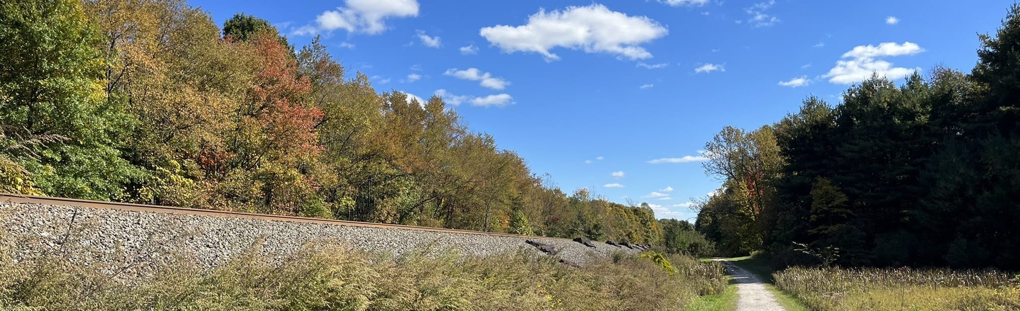 Maple Grove Park Loop Ohio AllTrails