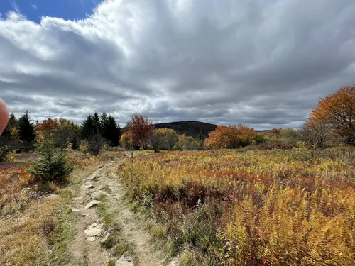 Dolly sods day outlet hikes