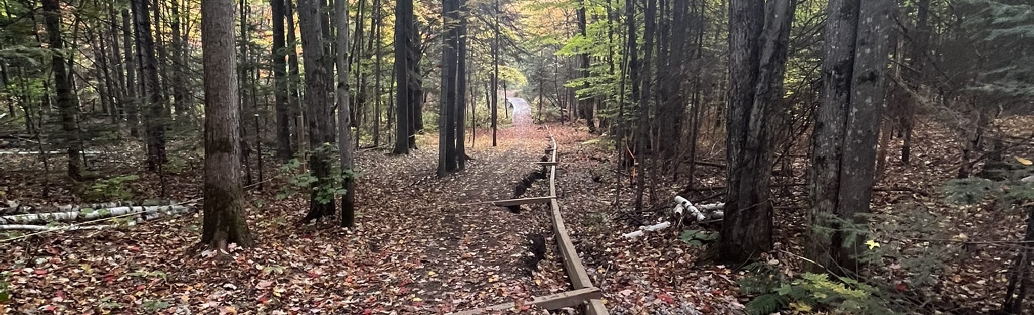 SaintGermain Loop, Quebec, Canada 40 Reviews, Map AllTrails