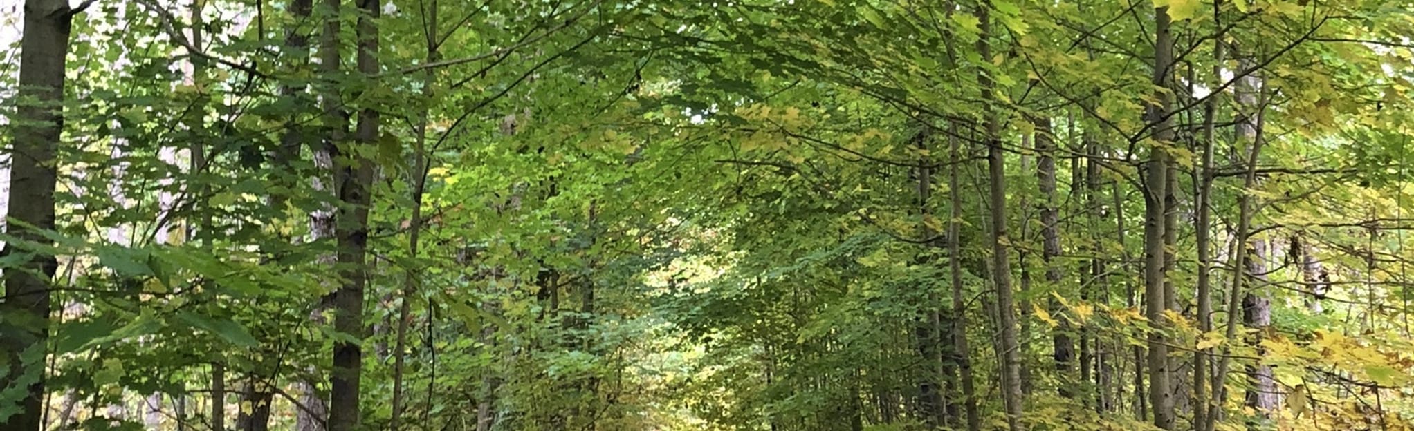 Ganaraska Hiking Trail Barrie Section Four 16 Reviews, Map Ontario