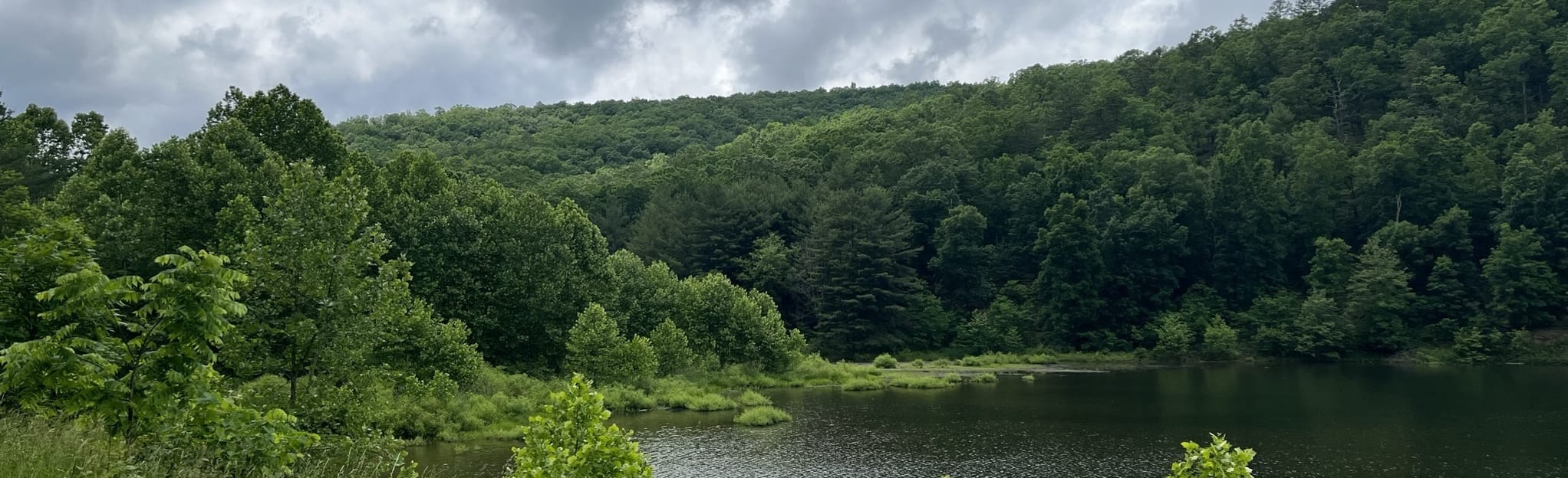 Slate Lick Lake Trail and Cutback Trail Loop 59 Reviews, Map