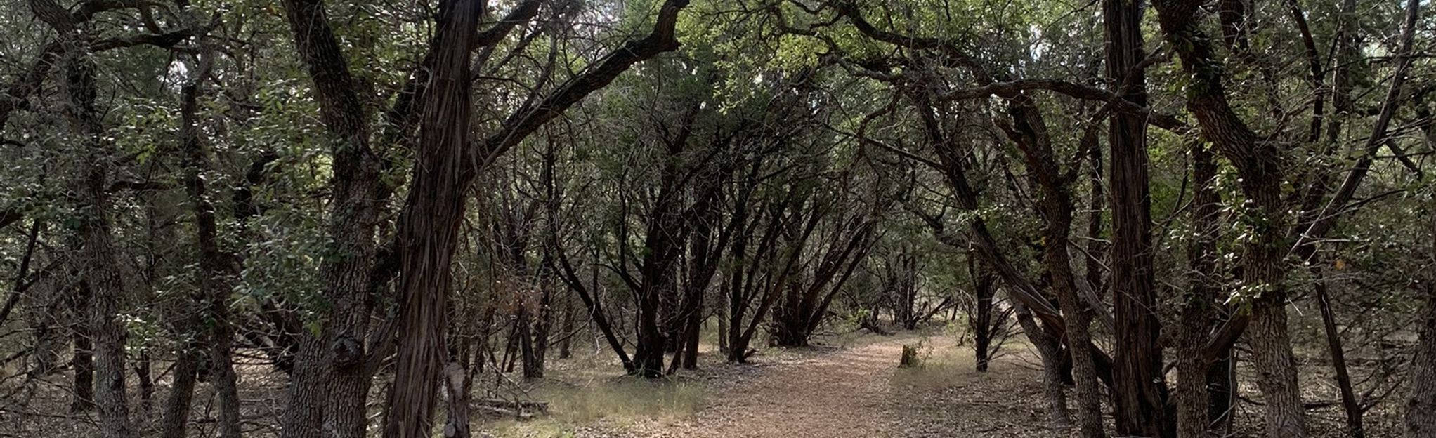 Blue Hole Park Trail Loop - Texas | AllTrails