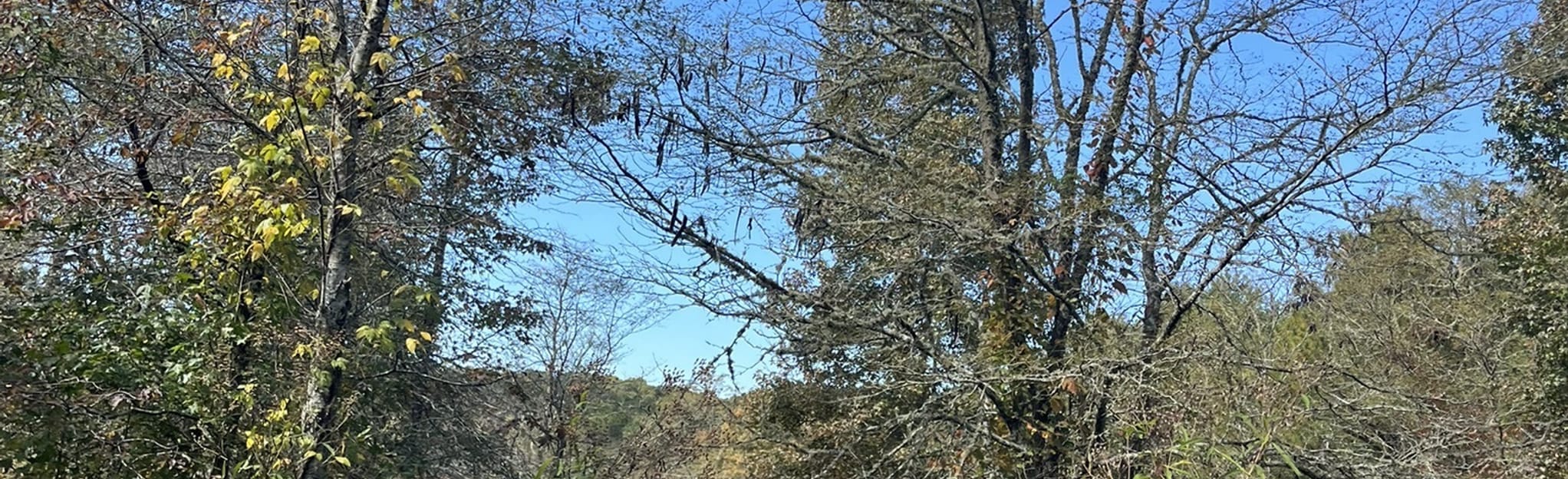 Leone Hall Price Creek Loop, 481 Reviews, Map AllTrails